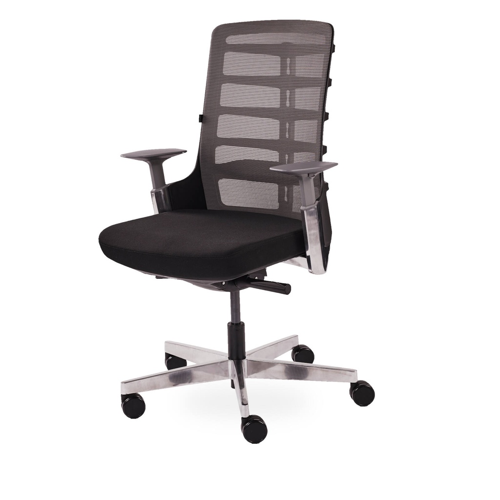 Autobalance pro, black, black upholstered seat, mesh back, 2D armrest, chrome base