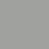 Base Colour: Silver